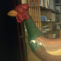 Circa 1900 Savage Rooster