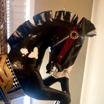 CA 1920 Allan Herschell Trojan Jumper