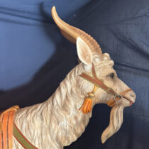 Circa 1905 Gustav Dentzel Goat